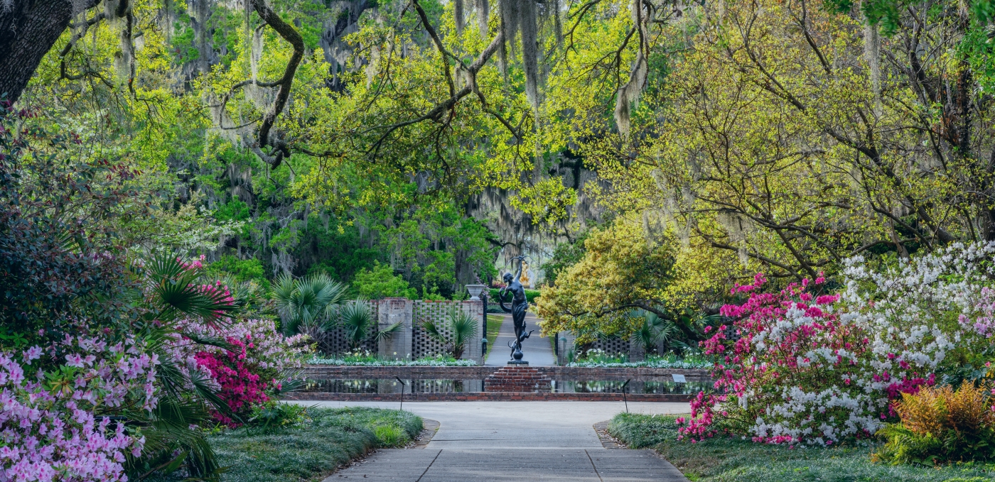 Dentist Indian Land, SC BridgeMill Dental Care