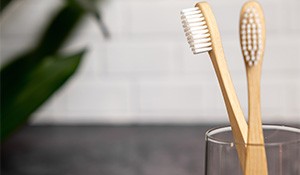 Two toothbrushes in a glass